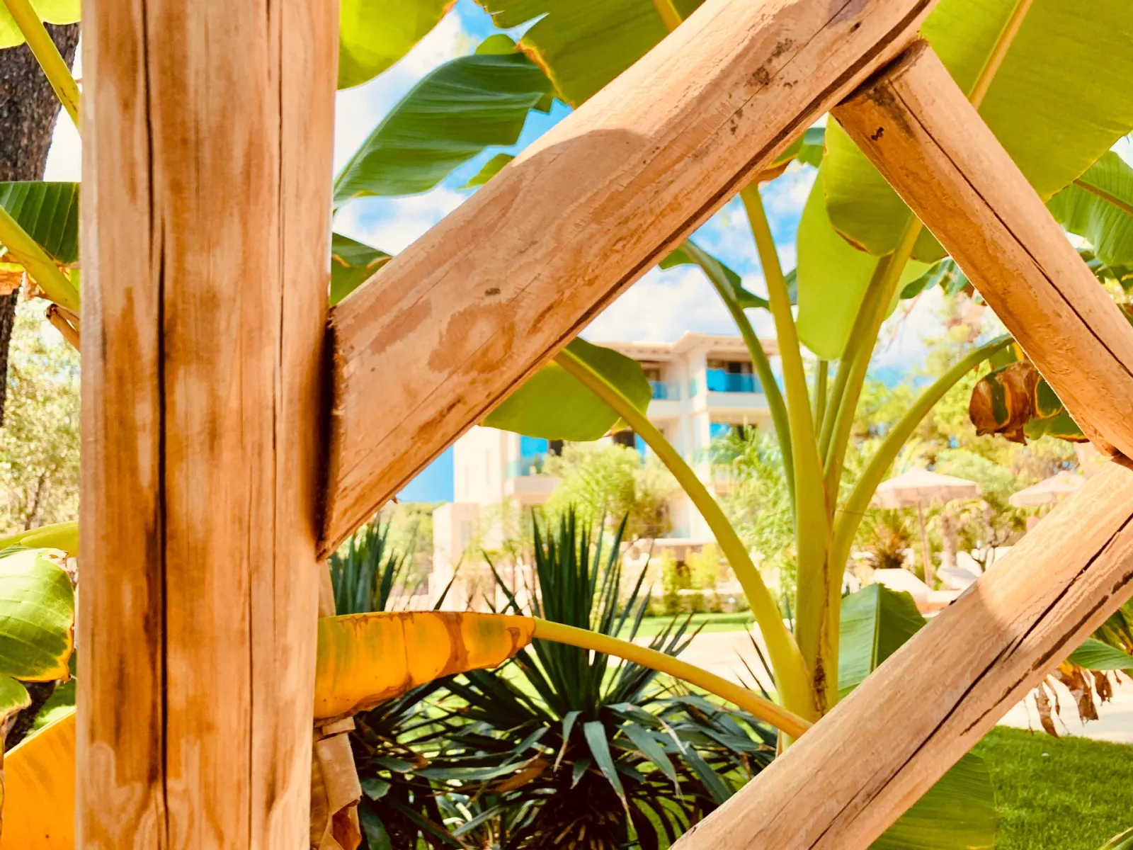 MAKO Sea & Suites