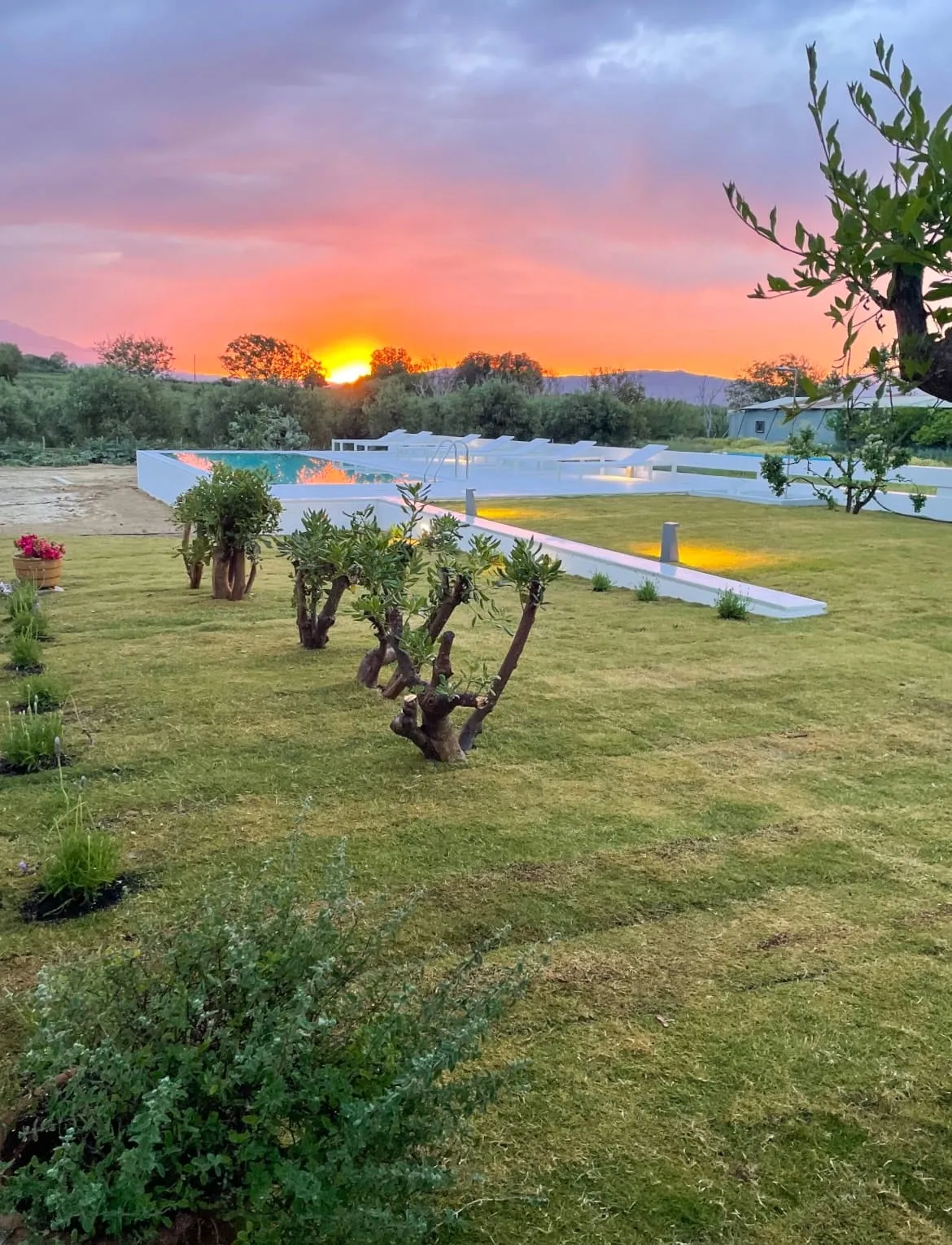 Outdoor Eco Salt Water Pool Sunset