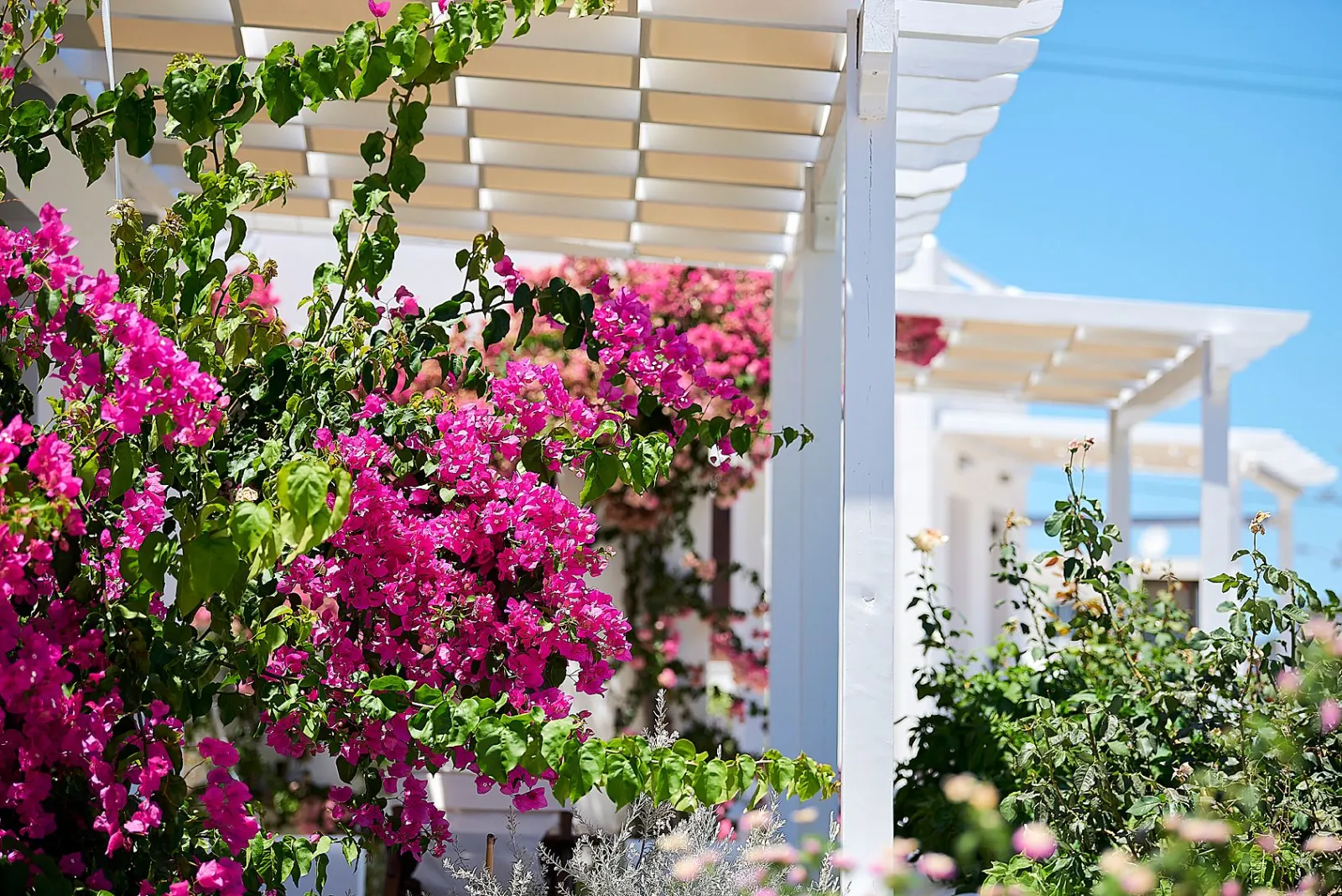 Mirabeli Apartments & Suites
