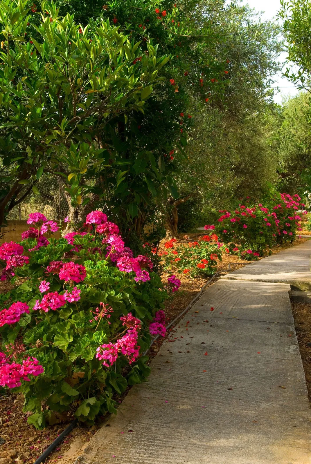 Mirabella Apartments Agios Nikolaos