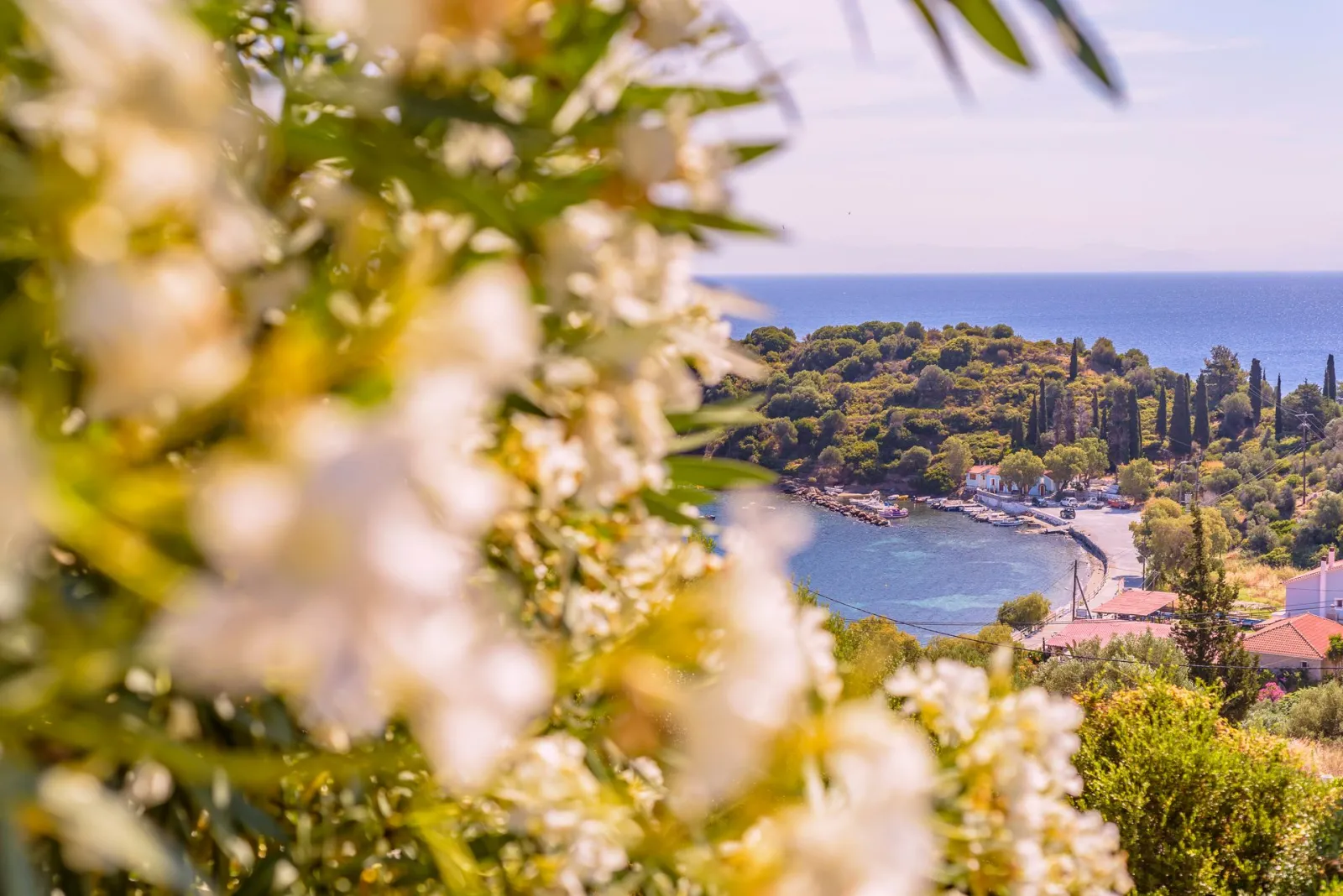 Mouzakis Villas Samos