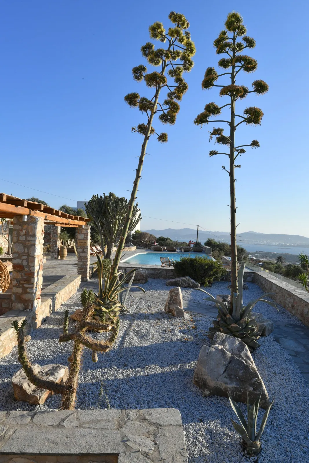 Mythic Paros, Adults - Only