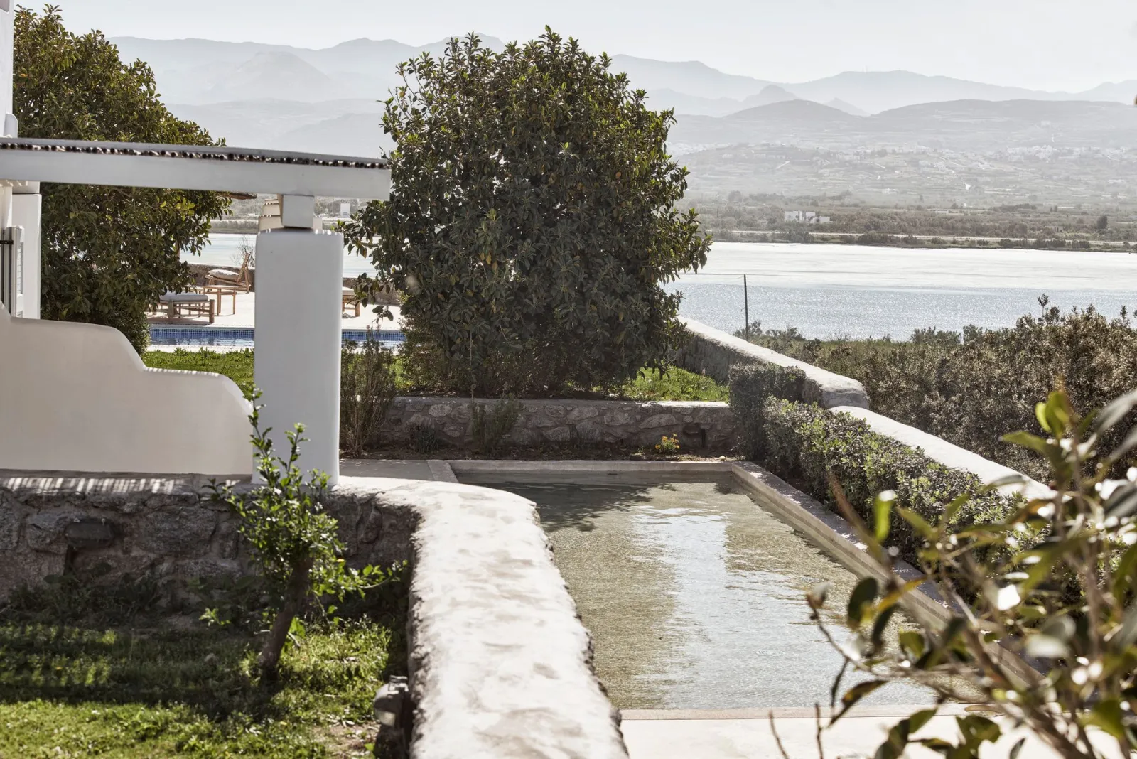 The Naxian Collection
