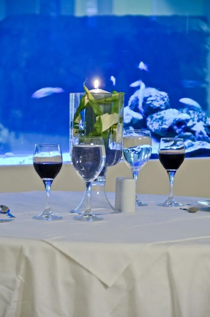 Naxos Island Hotel