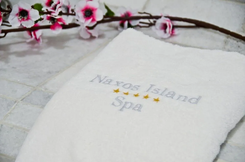 Naxos Island Hotel