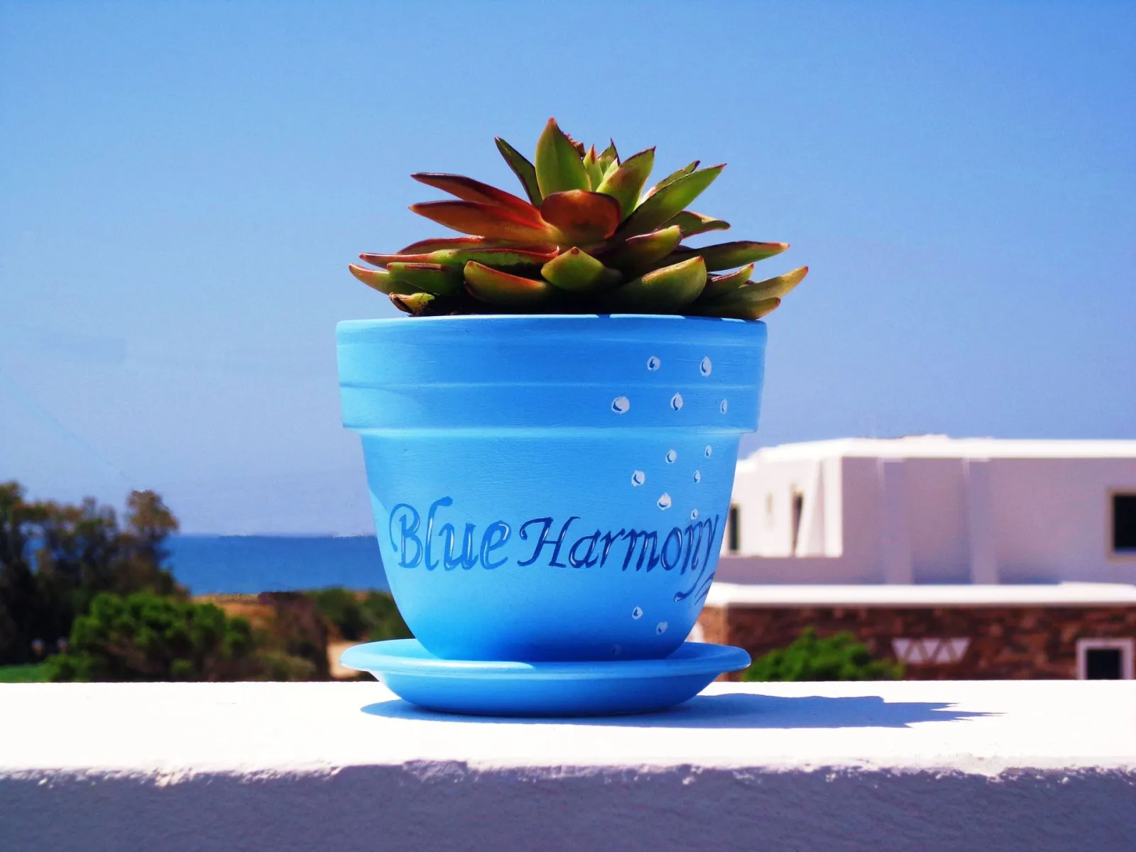 Blue Harmony Apartments Naxos