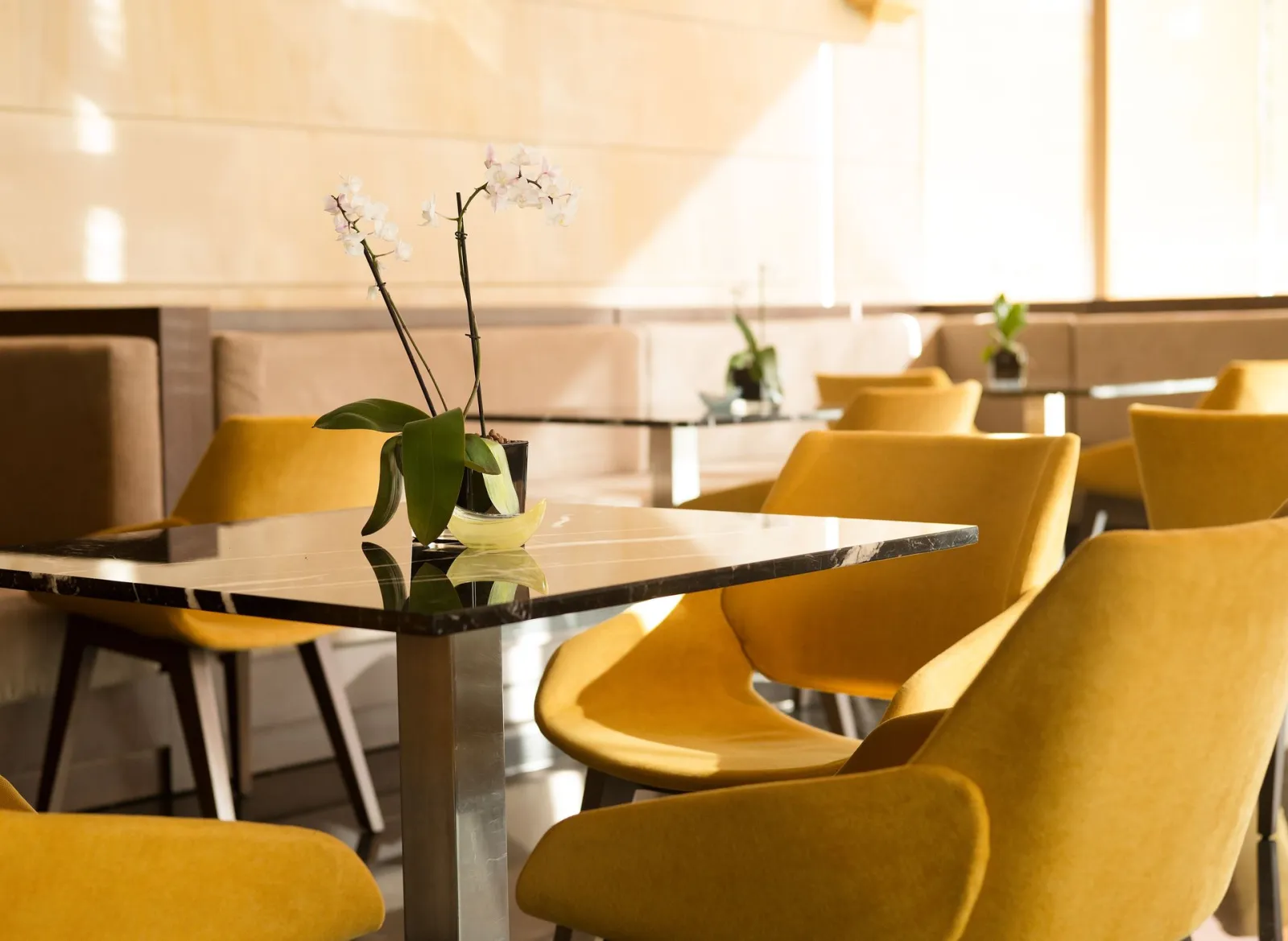 NJV Athens Plaza Hotel