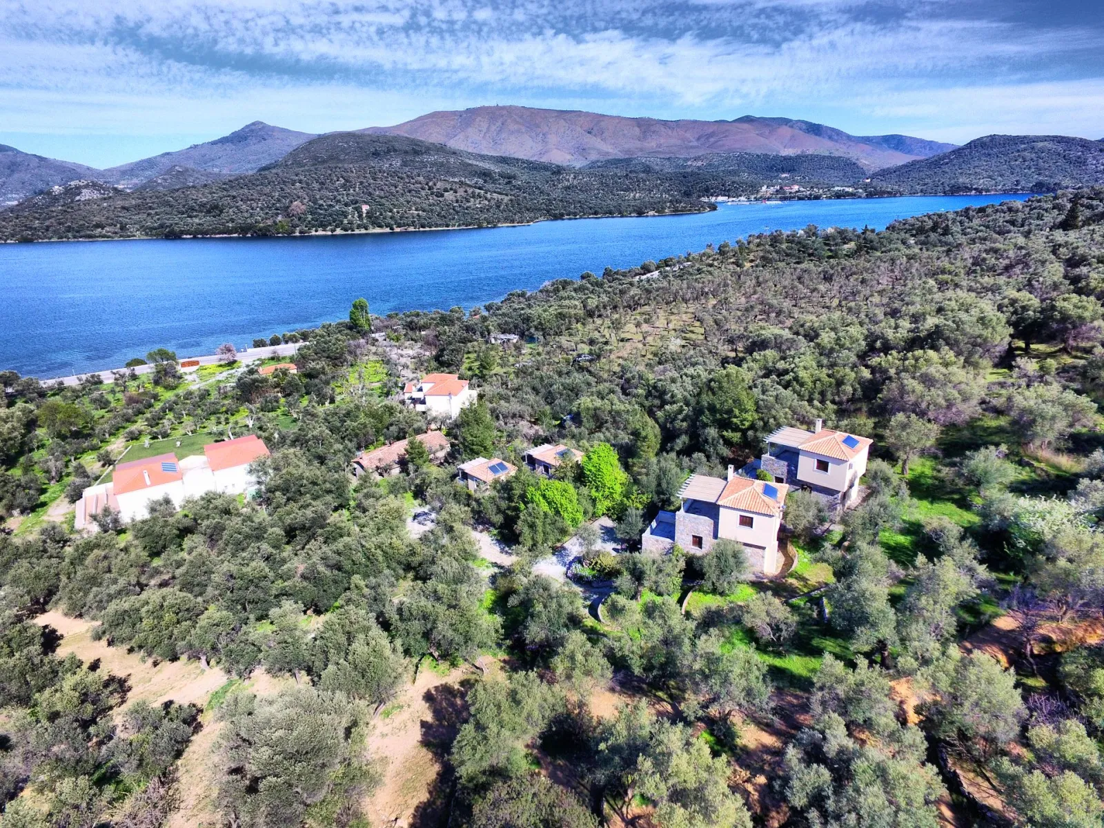 Gera's Olive Grove (Elaionas Tis Geras)