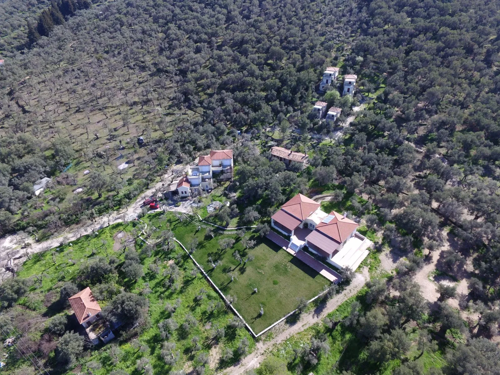 Gera's Olive Grove (Elaionas Tis Geras)
