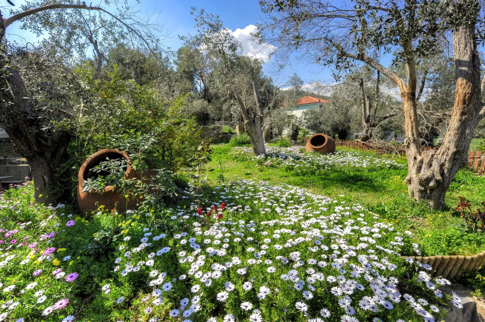 Garden & Yera building