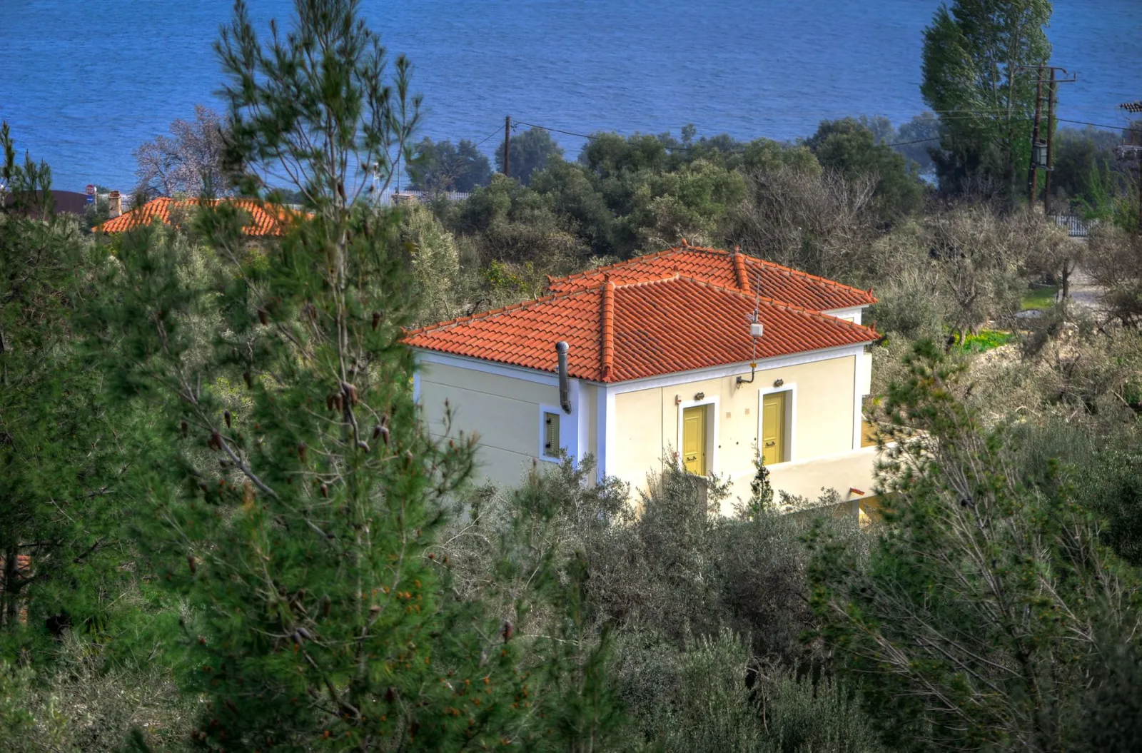 Yera building