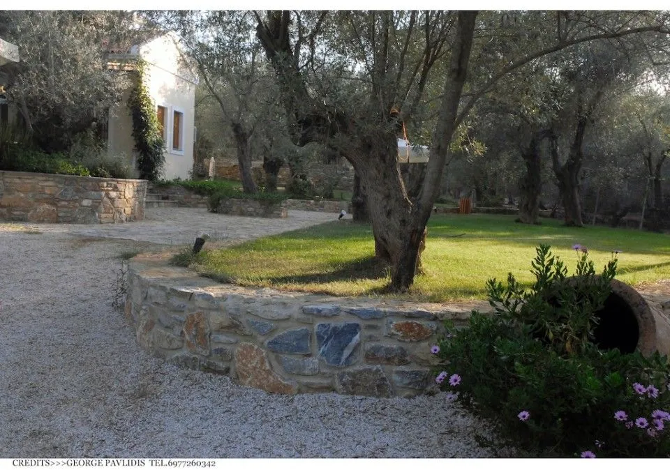 The garden of the estate