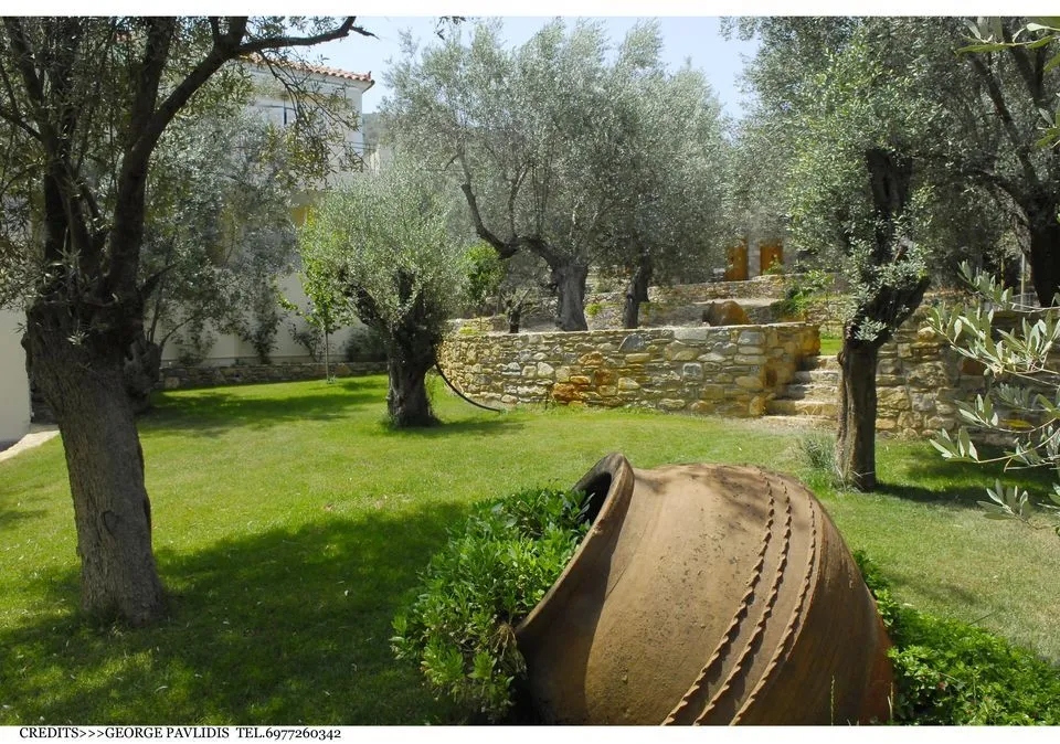 Garden of the premises