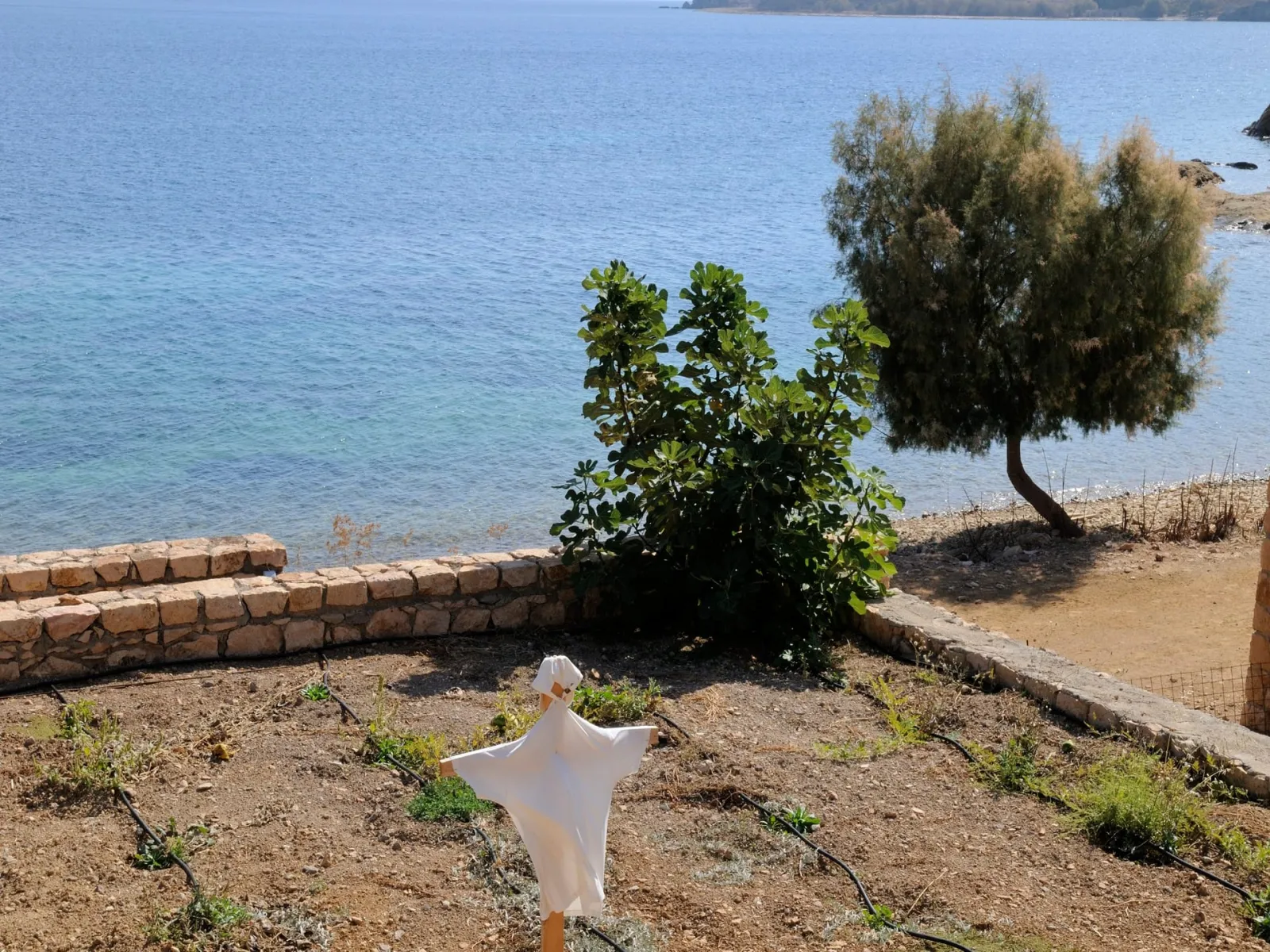 Onar Patmos