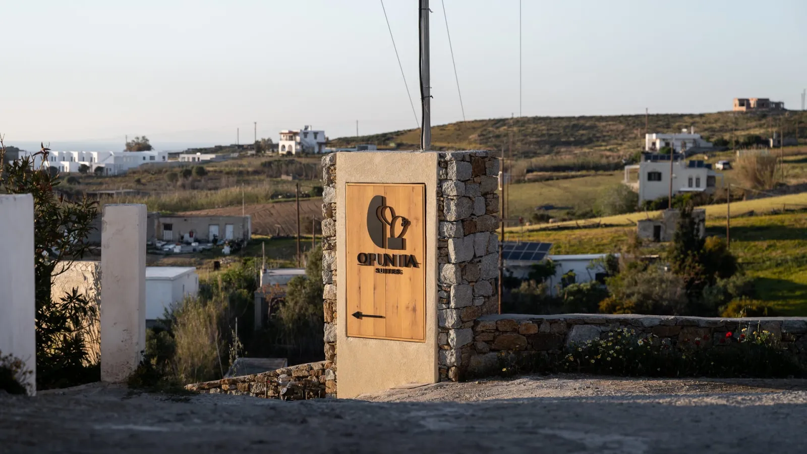 Opuntia Suites
