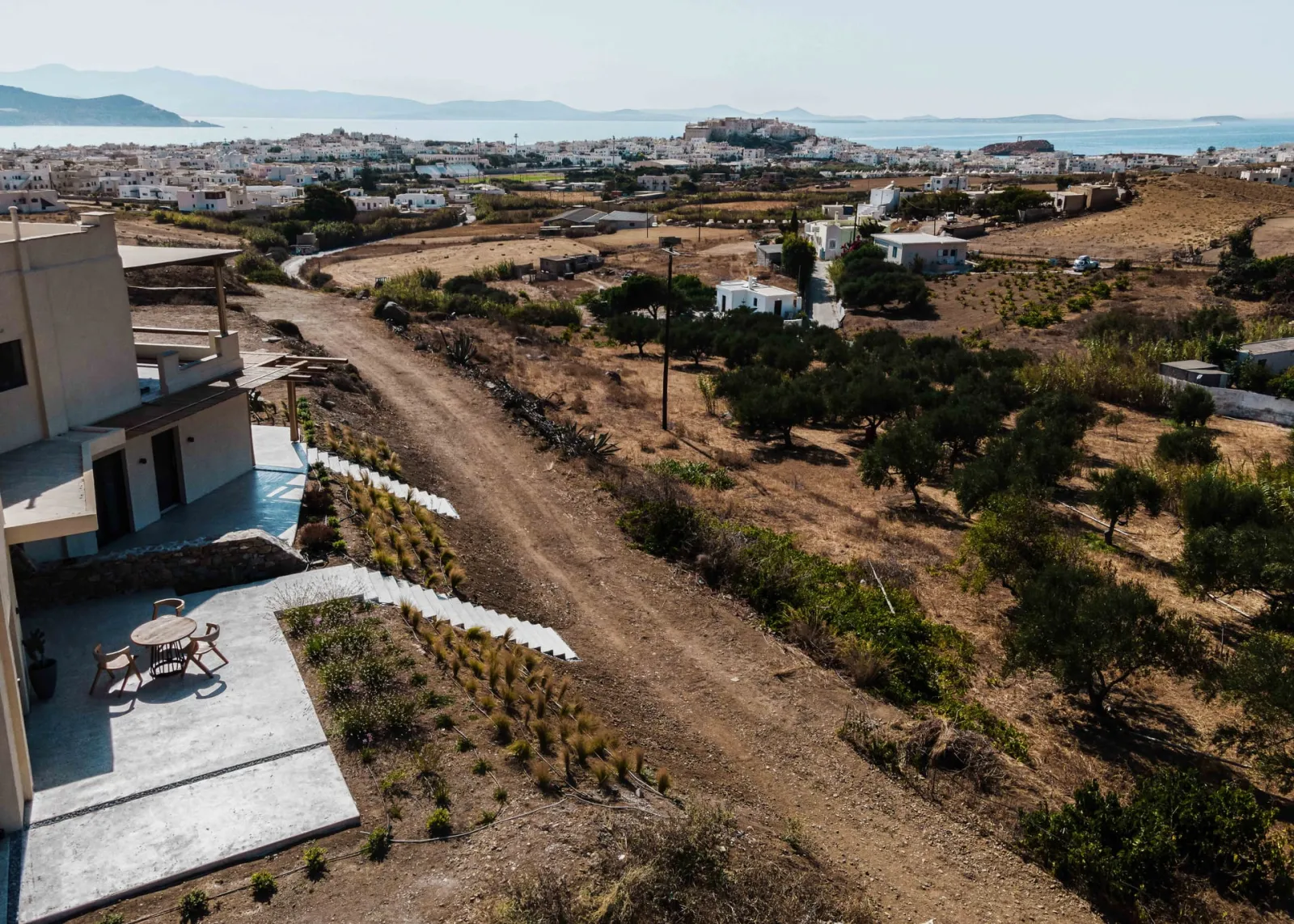 Opuntia Suites
