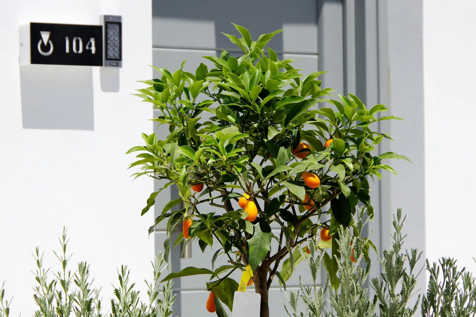 Oro Suites Syros