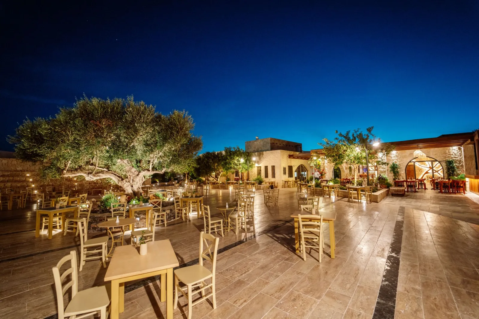 Olive Vilage