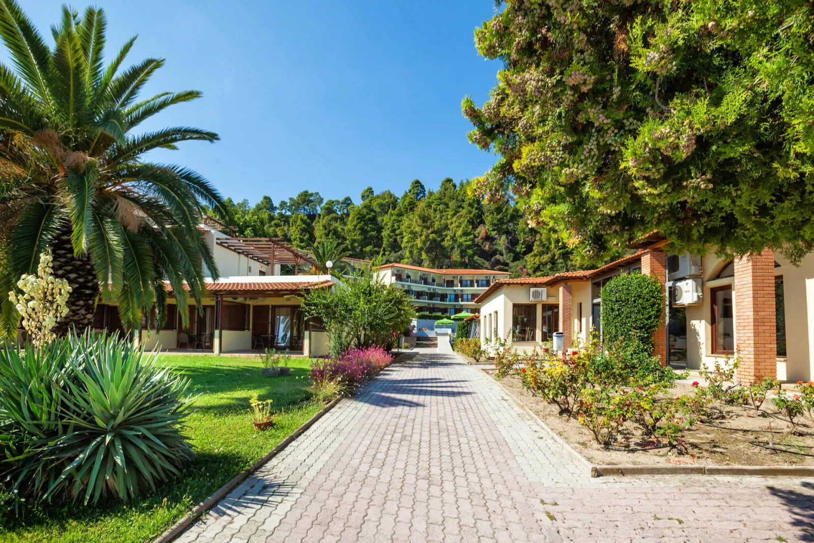 Palladium Hotel Halkidiki