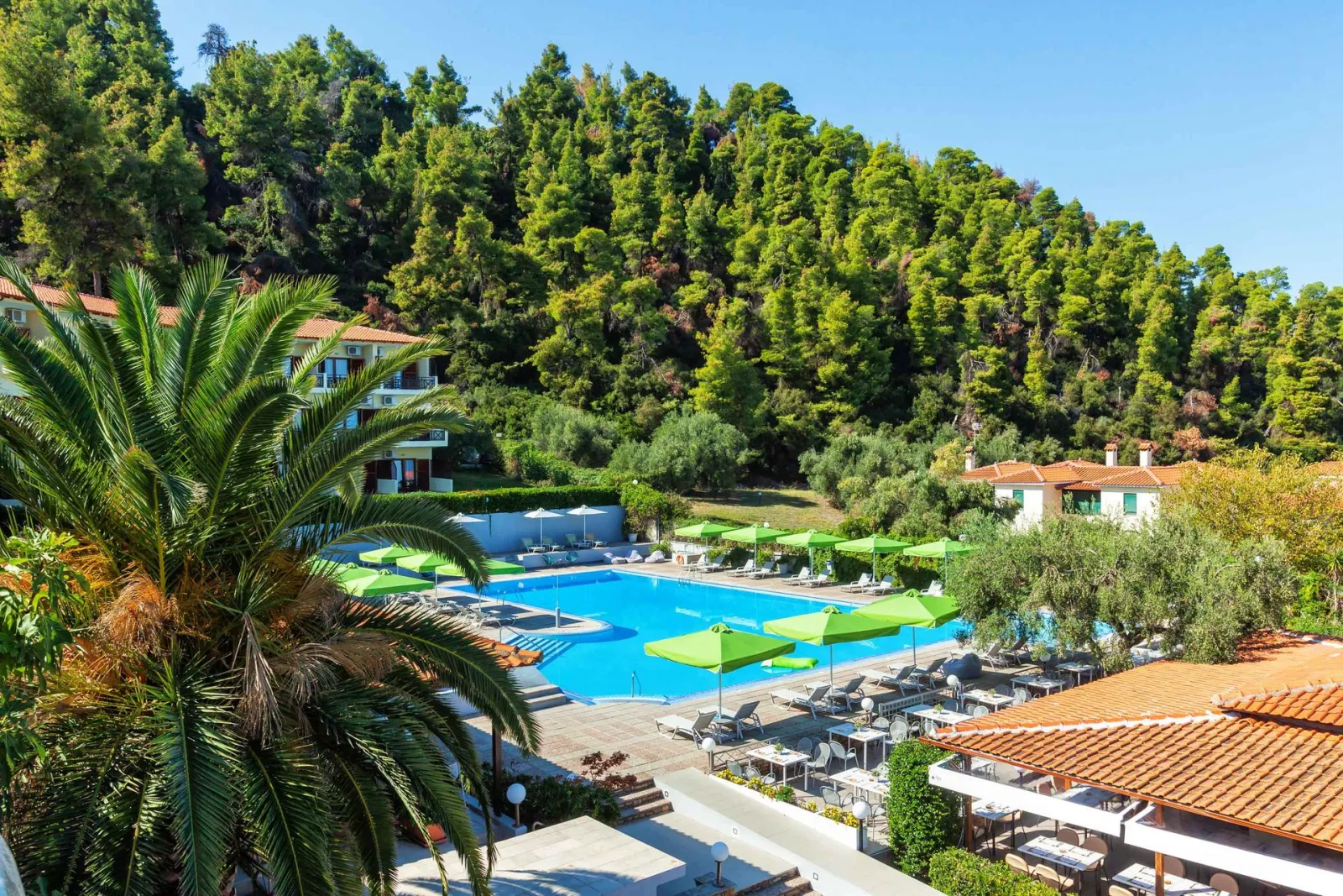 Palladium Hotel Halkidiki