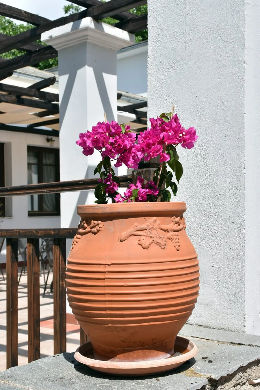 Pelion Resort