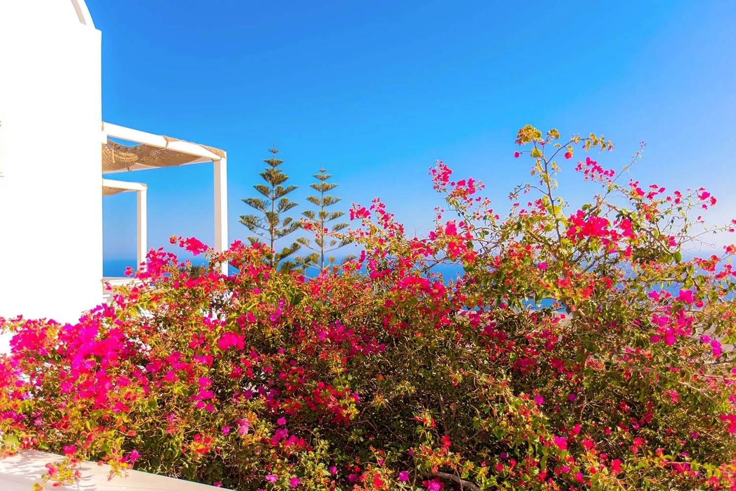 Phaos Santorini Suites