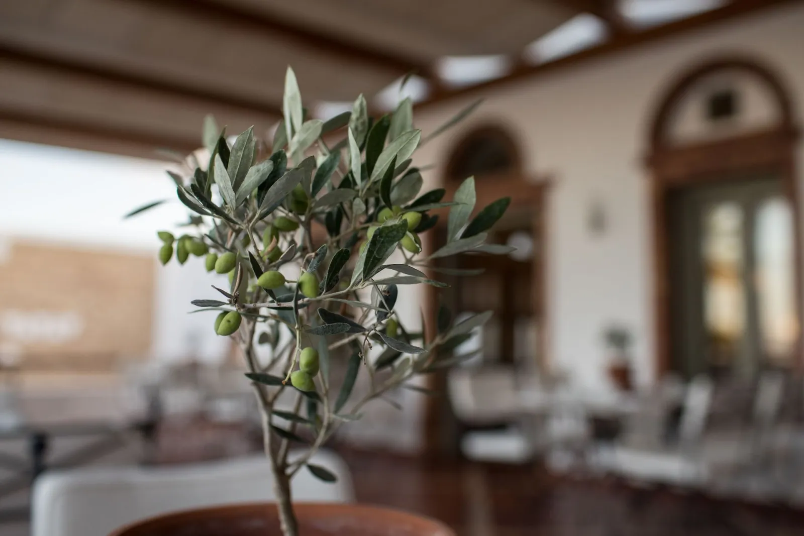 OLD - Porto Naxos Hotel