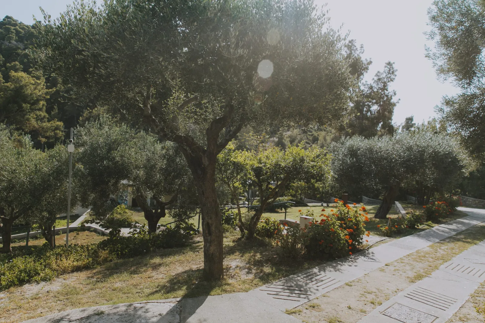 Porto Valitsa