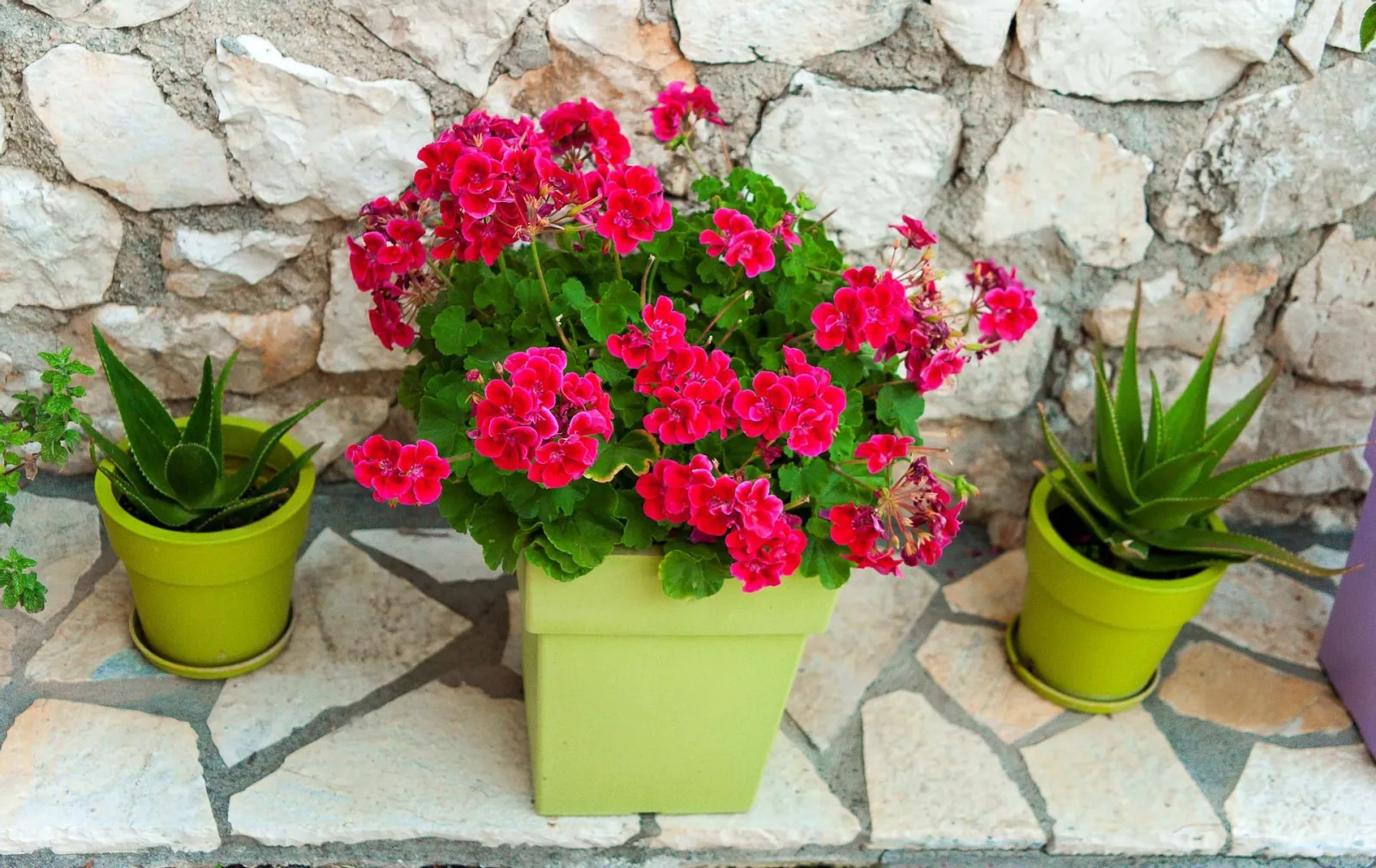 San Lazzaro Apartments Lefkada