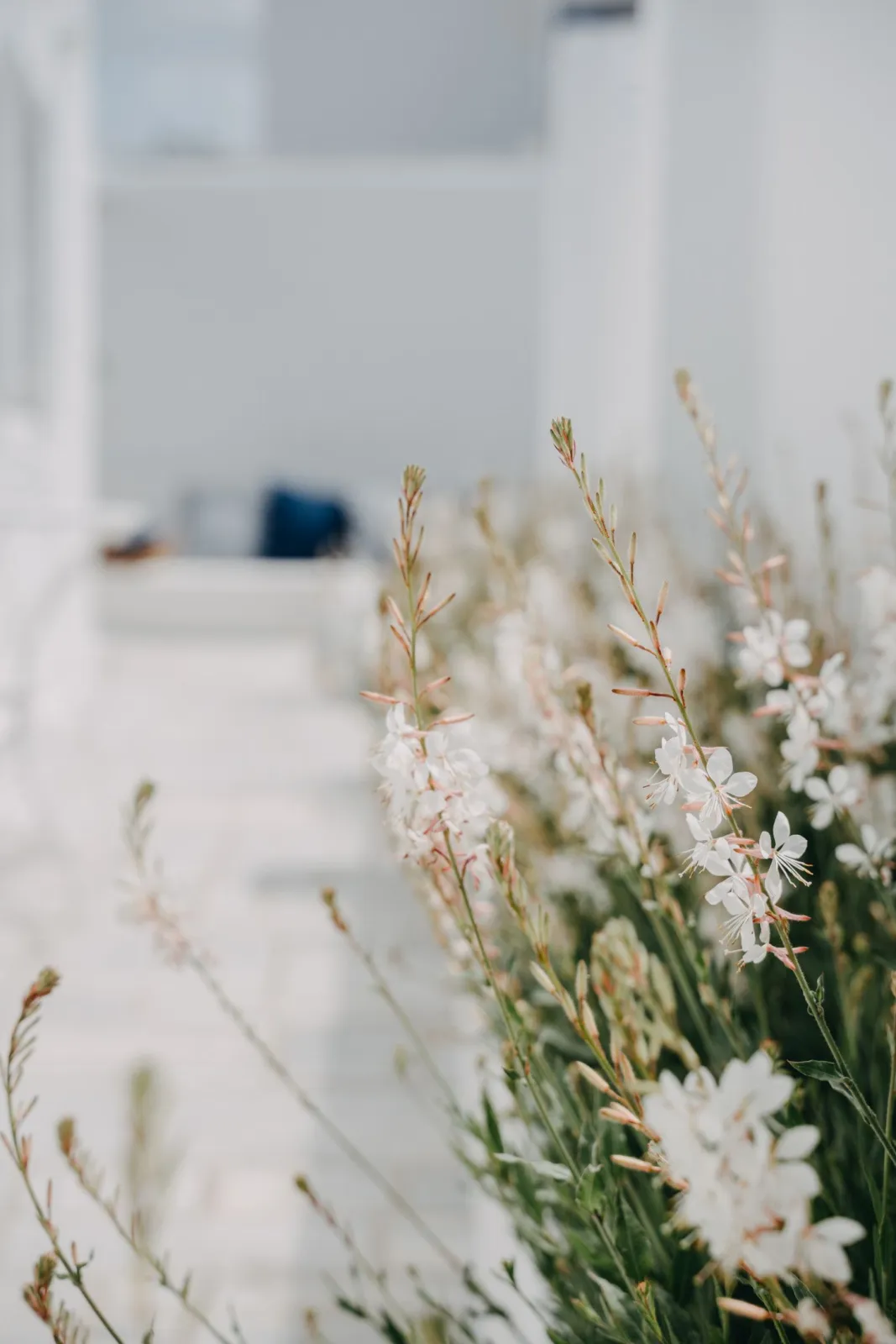 Aether Boutique Stay Mykonos