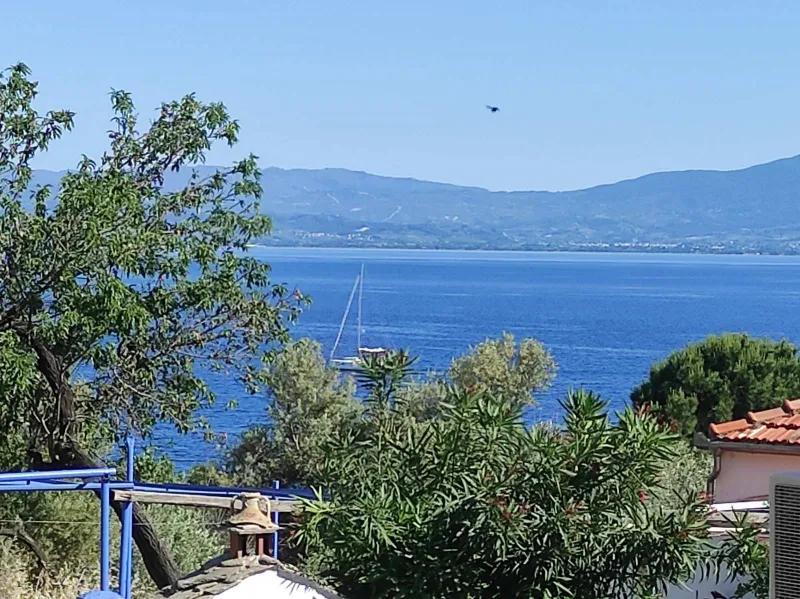View from the Balcony # B6
