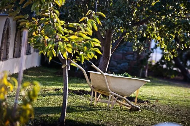 Seydnaya Studios & Apartments - Neos Marmaras, Chalkidiki