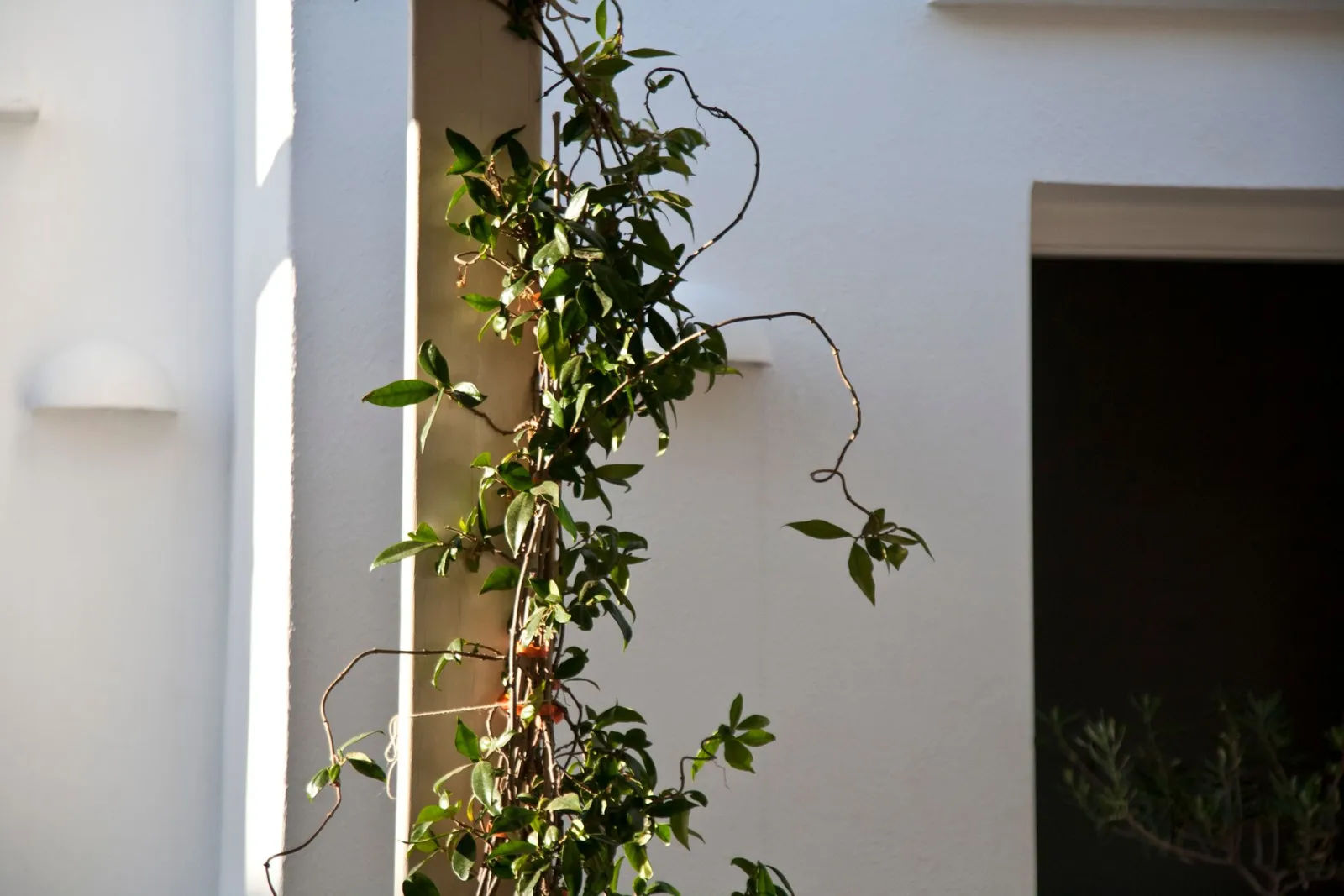 Smaragdi Hotel Sifnos