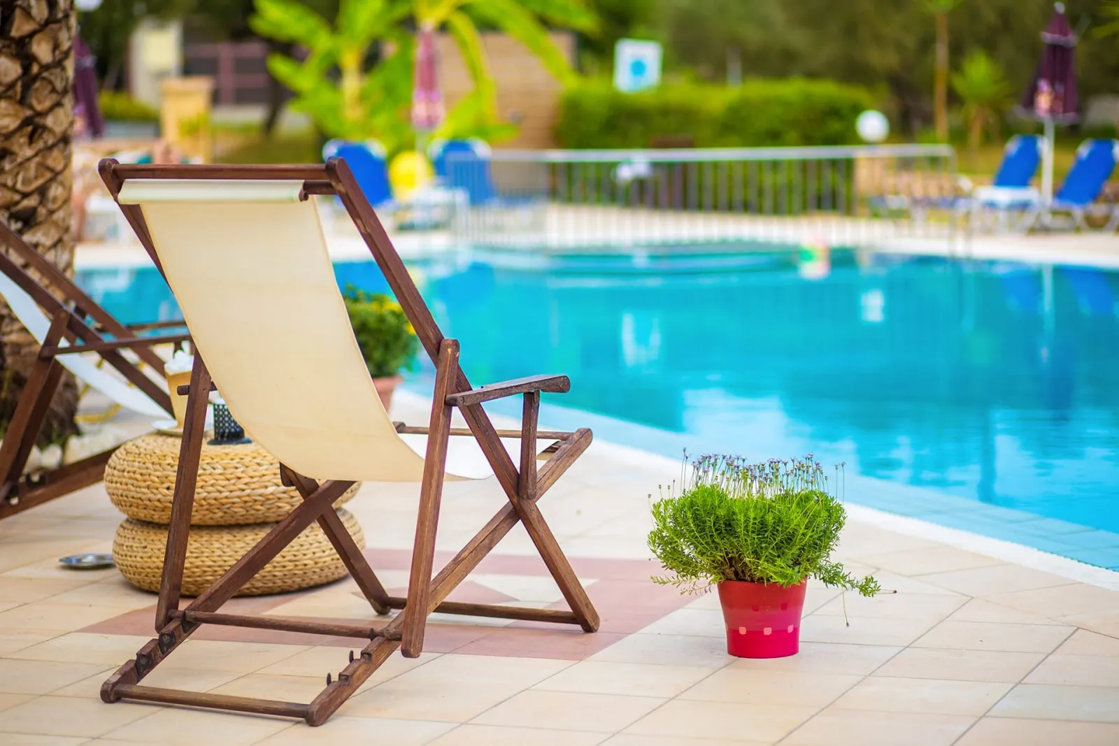 Sunflower Apartments & Studios Zakynthos