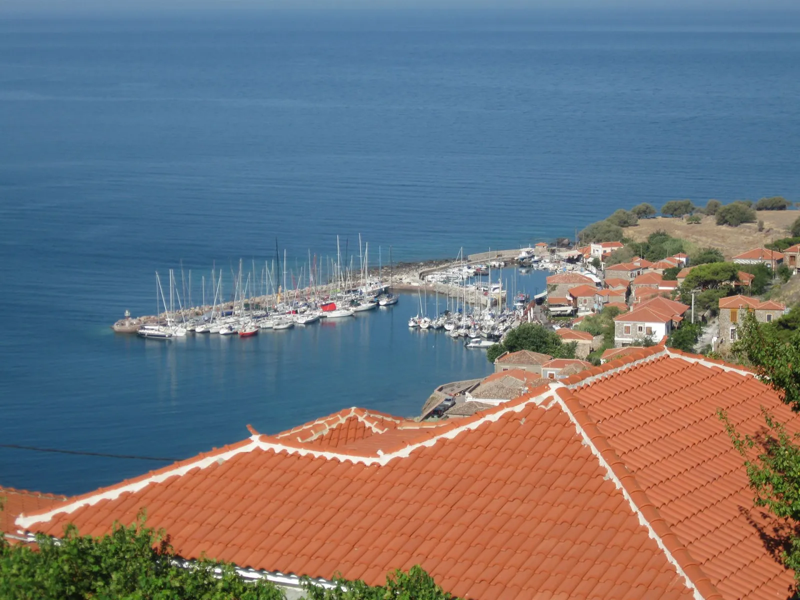 Sunrise Resort Hotel