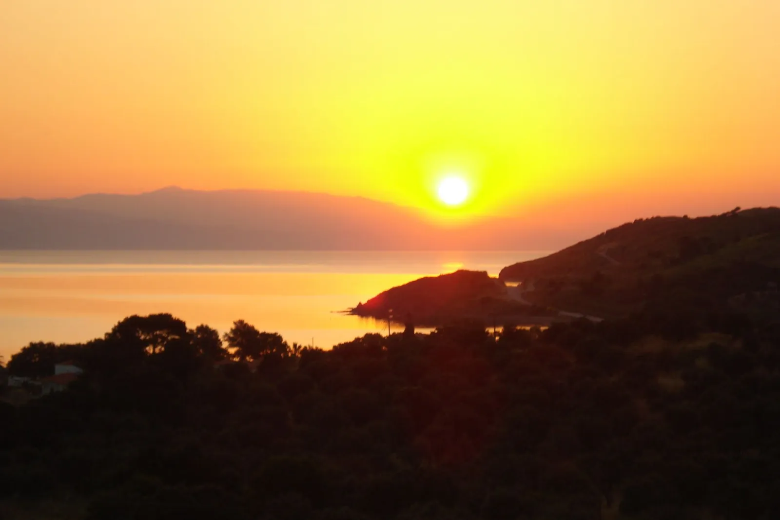 Sunrise Resort Hotel