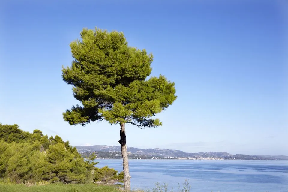 Thalassa Boutique Hotel Kefalonia