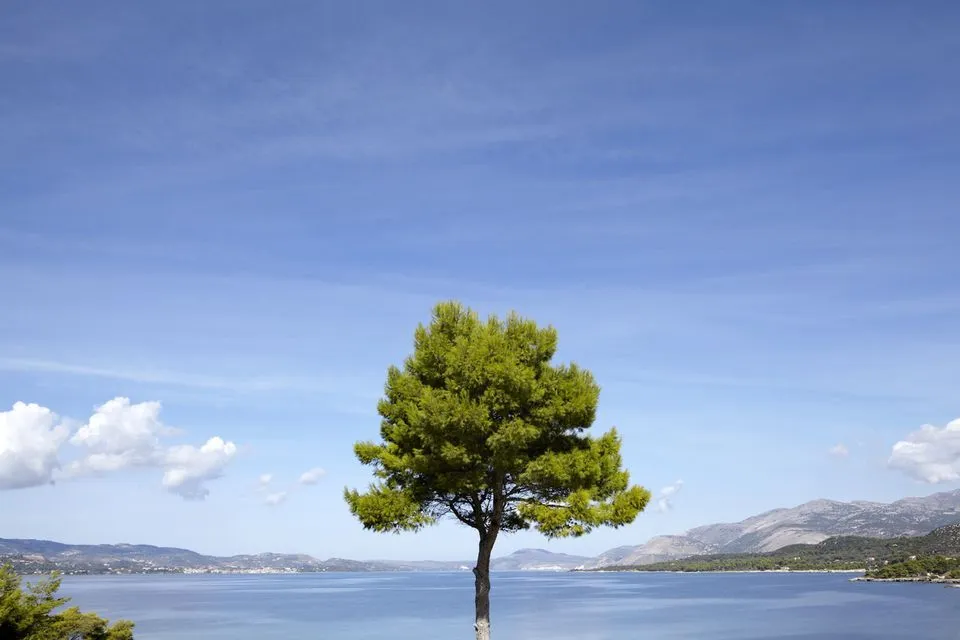 Thalassa Boutique Hotel Kefalonia