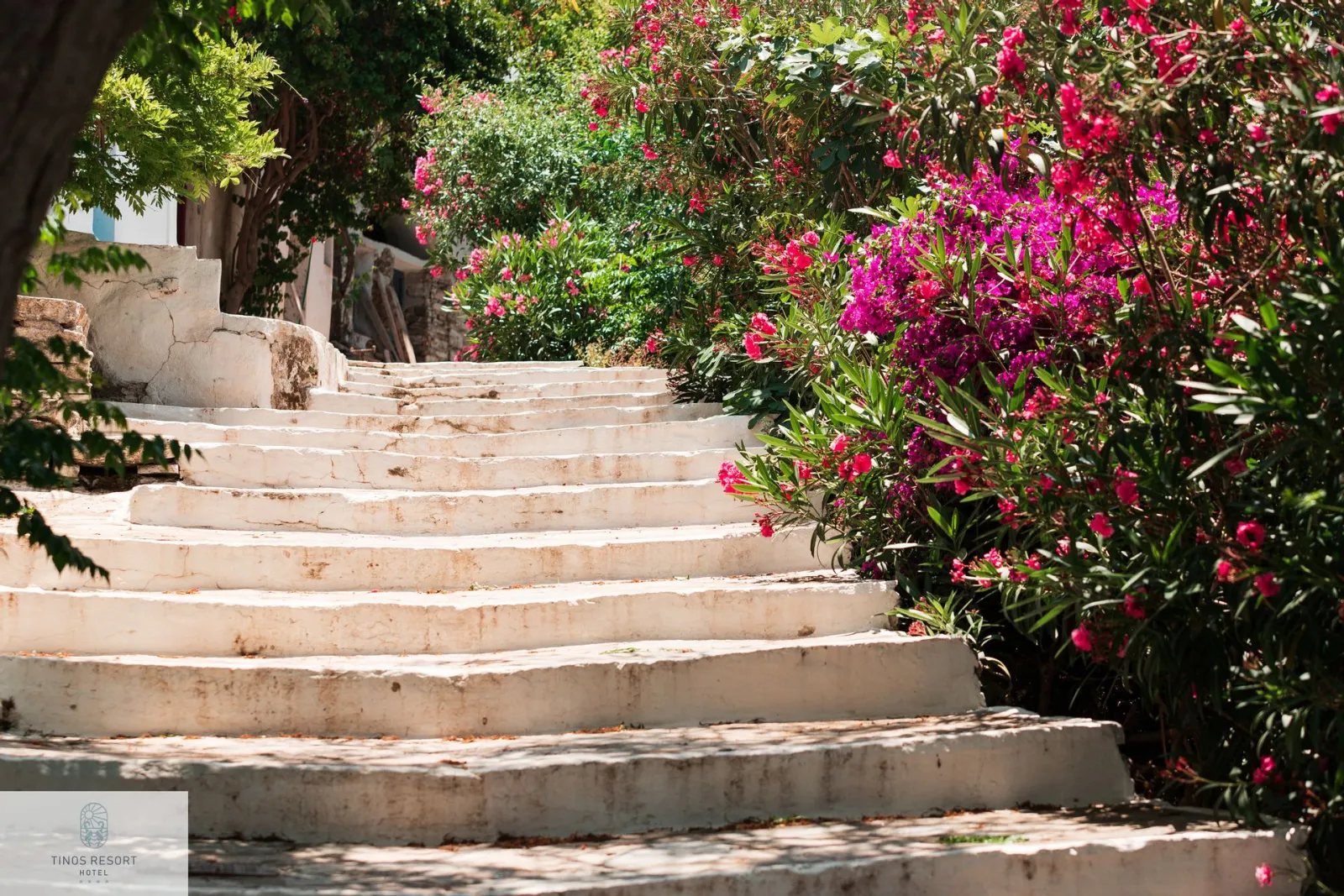 Tinos Resort Hotel