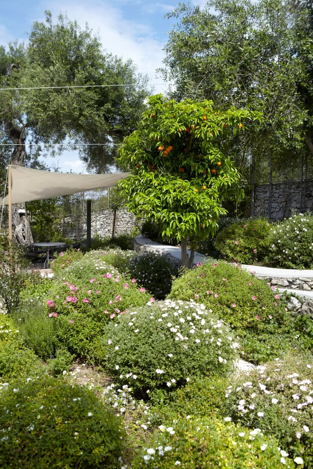 Torri E Merli Hotel Paxos