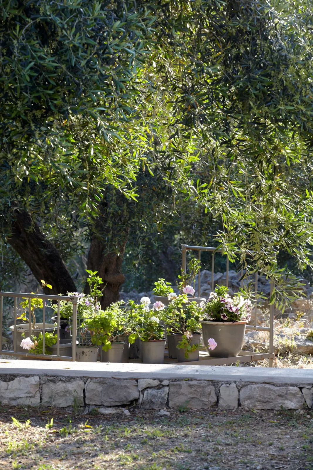 Torri E Merli Hotel Paxos