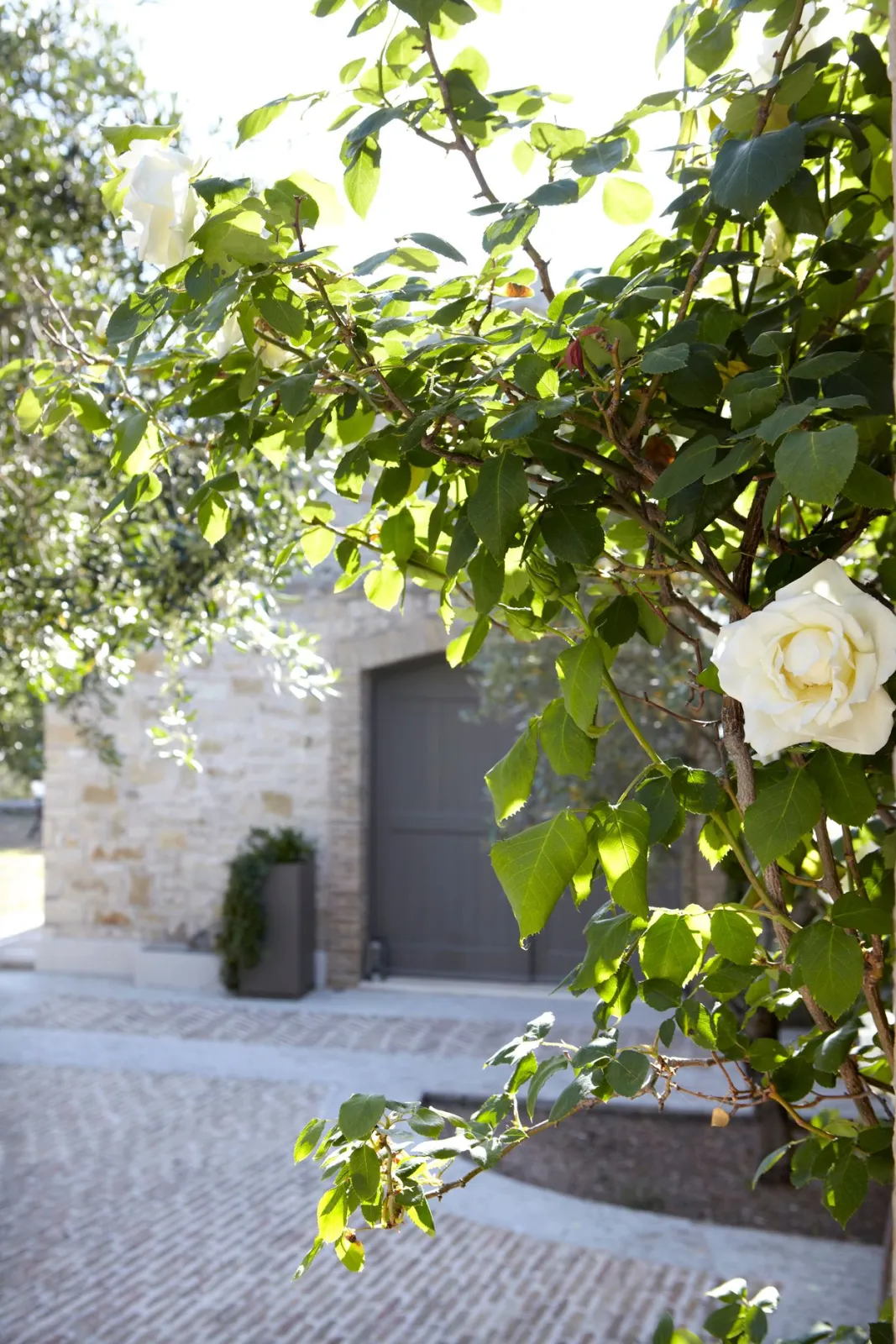 Torri E Merli Hotel Paxos