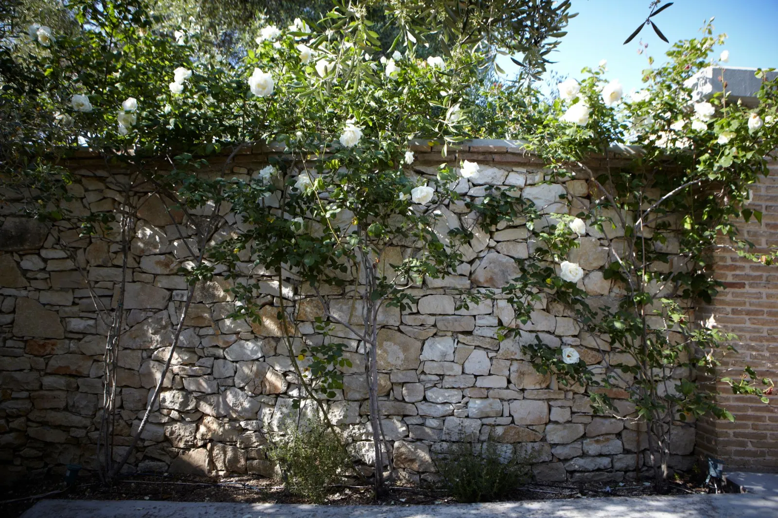 Torri E Merli Hotel Paxos