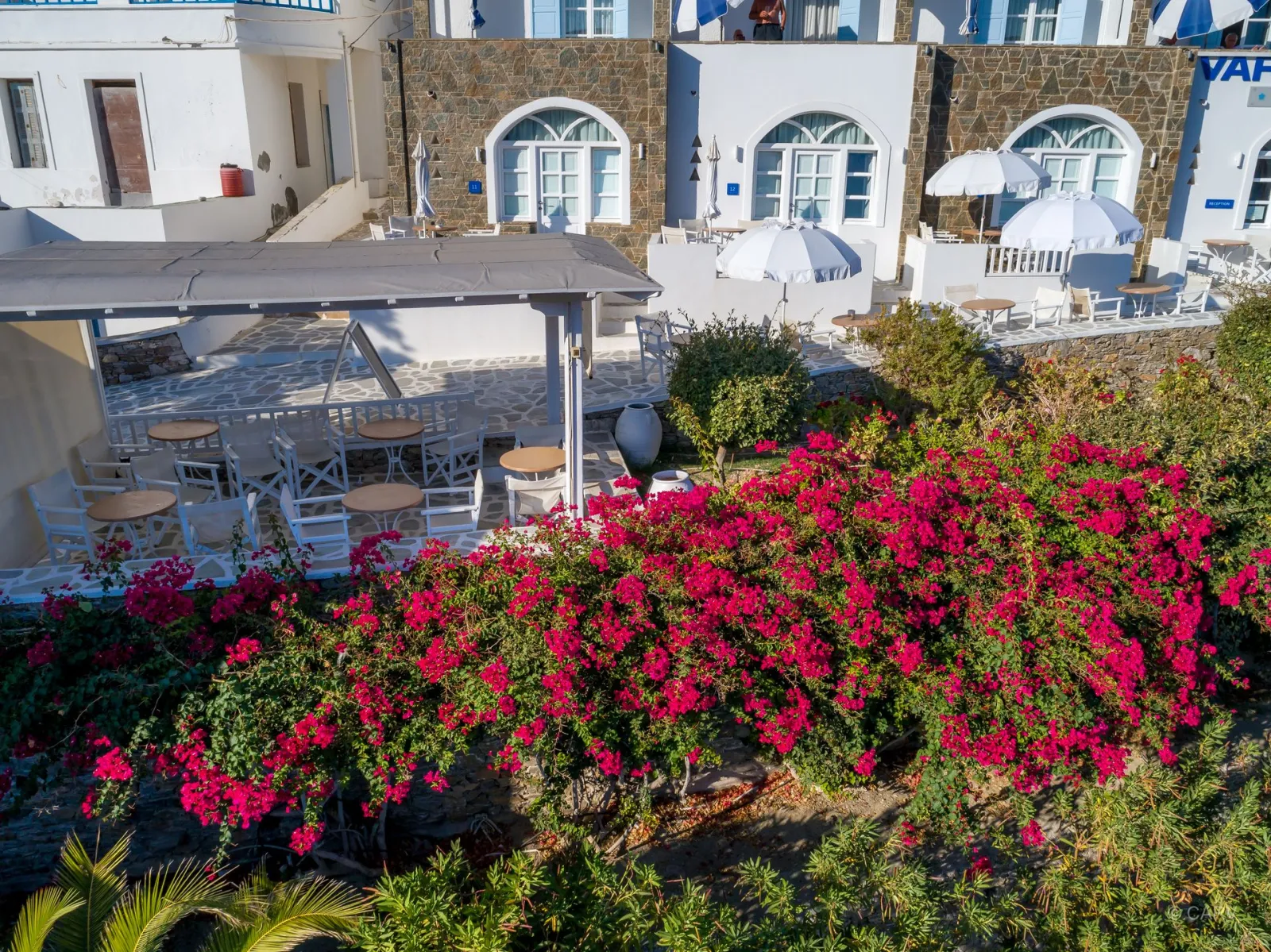 Vardia Bay Studios