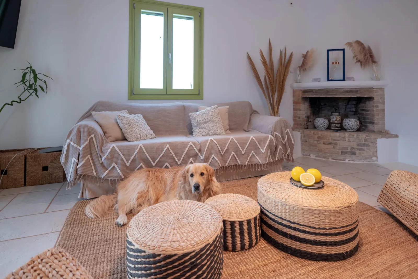 We are a pet friendly accommodation. Just let us know in advance to prepare a treat for our furry guests!