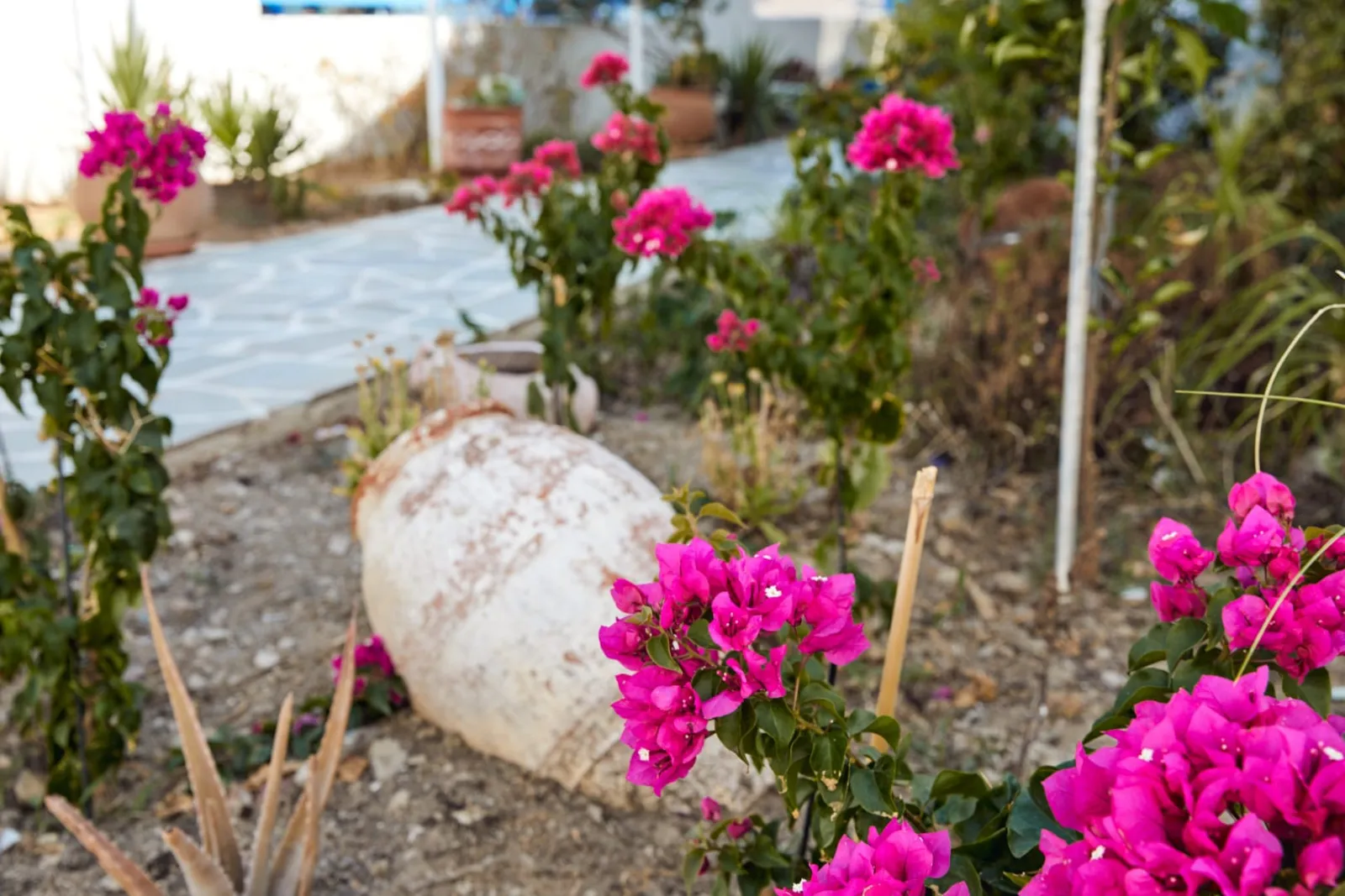Vigla Hotel Amorgos