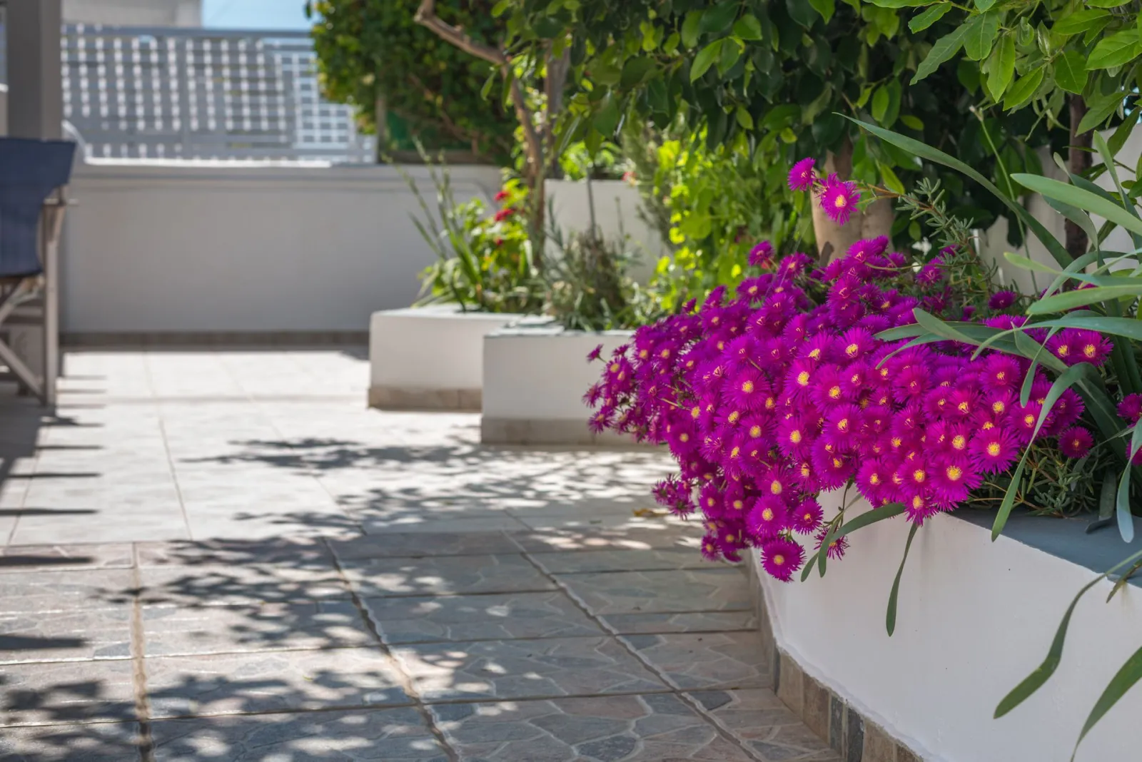 Vira Vivere Houses