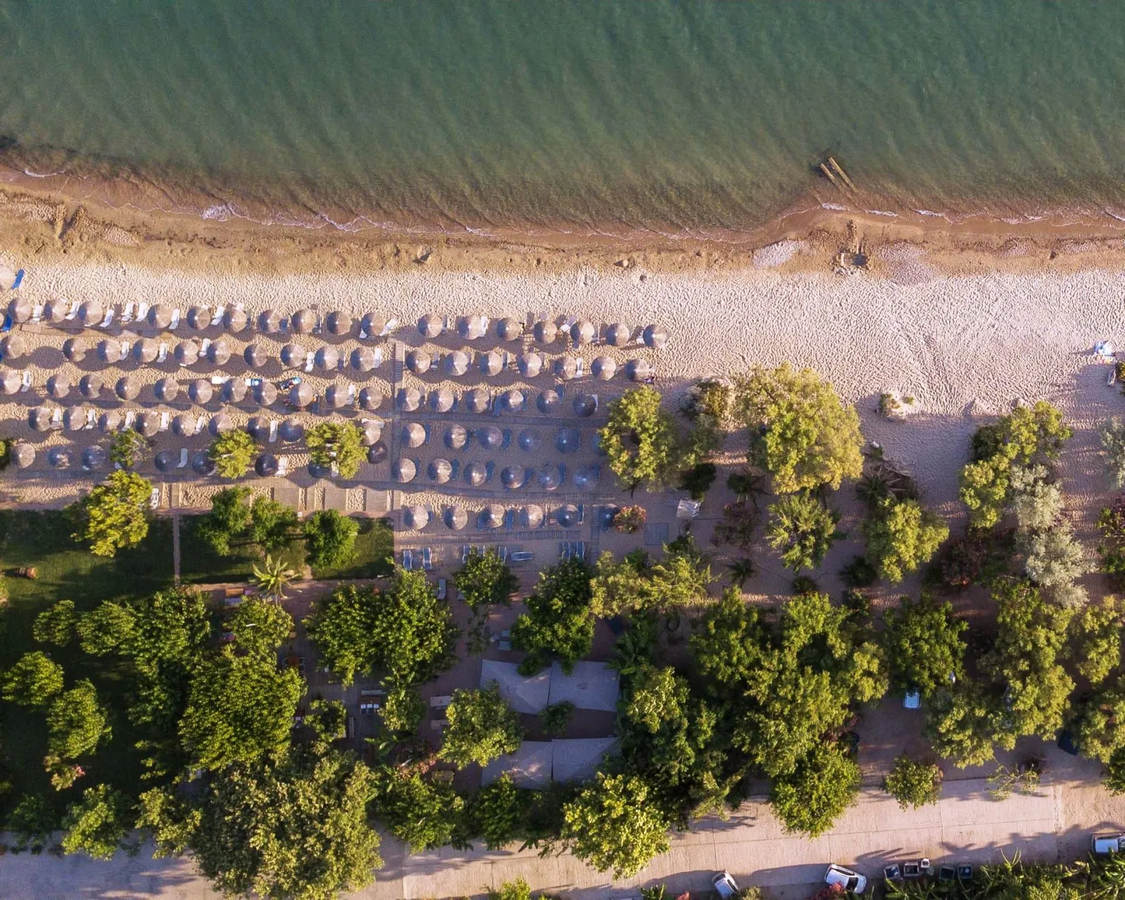 Zoe Seaside Resort