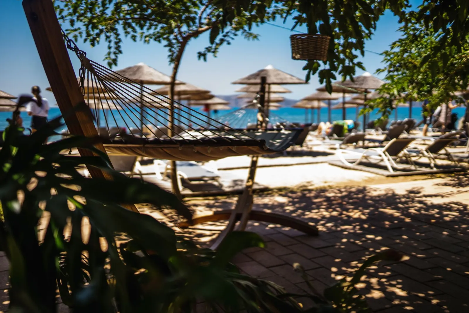 Zoe Seaside Resort