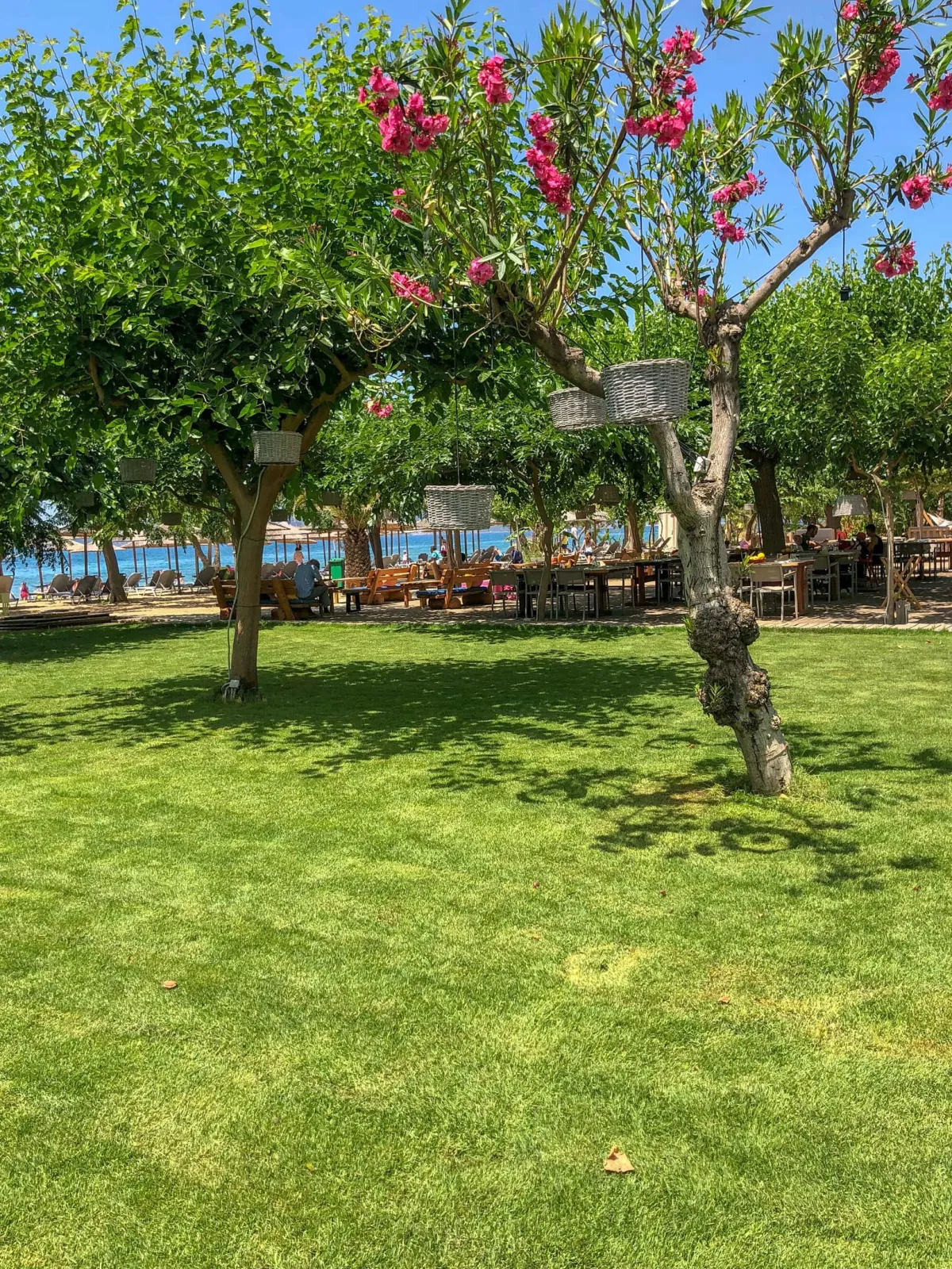 Zoe Seaside Resort